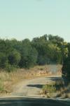 <img100*0:stuff/z/73640/scenery%2520reference/i1263270256_17.jpg>