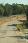 <img100*0:stuff/z/73640/scenery%2520reference/i1263270257_20.jpg>