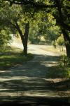 <img100*0:stuff/z/73640/scenery%2520reference/i1263340368_4.jpg>