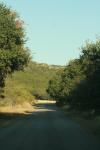 <img100*0:stuff/z/73640/scenery%2520reference/i1263340369_10.jpg>
