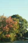 <img100*0:stuff/z/73640/scenery%2520reference/i1263340369_11.jpg>