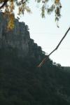 <img100*0:stuff/z/73640/scenery%2520reference/i1263340369_14.jpg>