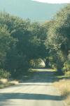 <img100*0:stuff/z/73640/scenery%2520reference/i1263340369_15.jpg>