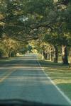 <img100*0:stuff/z/73640/scenery%2520reference/i1263340369_16.jpg>