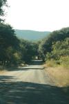 <img100*0:stuff/z/73640/scenery%2520reference/i1263340369_9.jpg>