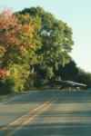 <img100*0:stuff/z/73640/scenery%2520reference/i1263340370_17.jpg>