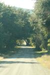<img100*0:stuff/z/73640/scenery%2520reference/i1263340370_21.jpg>
