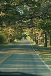<img100*0:stuff/z/73640/scenery%2520reference/i1263340370_22.jpg>
