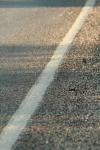 <img100*0:stuff/z/73640/scenery%2520reference/i1263340370_23.jpg>