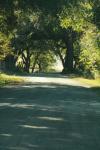 <img100*0:stuff/z/73640/scenery%2520reference/i1263340370_26.jpg>