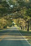 <img100*0:stuff/z/73640/scenery%2520reference/i1263340371_27.jpg>