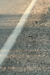 <img100*0:stuff/z/73640/scenery%2520reference/i1263340371_28.jpg>