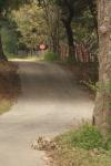 <img100*0:stuff/z/73640/scenery%2520reference/i1263340371_29.jpg>