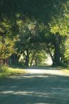 <img100*0:stuff/z/73640/scenery%2520reference/i1263340371_31.jpg>