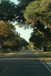 <img100*0:stuff/z/73640/scenery%2520reference/i1263340371_32.jpg>