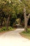 <img100*0:stuff/z/73640/scenery%2520reference/i1263340371_34.jpg>