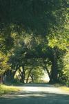 <img100*0:stuff/z/73640/scenery%2520reference/i1263340371_36.jpg>