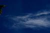 <img100*0:stuff/z/73640/sky%2520reference.2/i1259720320_4.jpg>