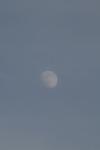 <img100*0:stuff/z/73640/sky%2520reference.2/i1259720320_7.jpg>