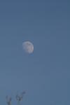 <img100*0:stuff/z/73640/sky%2520reference.2/i1259720321_12.jpg>