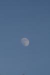 <img100*0:stuff/z/73640/sky%2520reference.2/i1259720324_35.jpg>