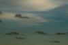 <img100*0:stuff/z/73640/sky%2520reference.2/i1259729999_39.jpg>
