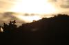 <img100*0:stuff/z/73640/sky%2520reference.2/i1259816026_4.jpg>