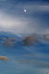 <img100*0:stuff/z/73640/sky%2520reference.2/i1259816026_5.jpg>
