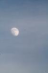 <img100*0:stuff/z/73640/sky%2520reference.2/i1259816026_7.jpg>