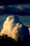 <img100*0:stuff/z/73640/sky%2520reference.2/i1262483204_15.jpg>