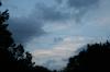 <img100*0:stuff/z/73640/sky%2520reference.4/i1265220066_10.jpg>