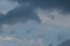 <img100*0:stuff/z/73640/sky%2520reference.4/i1265220067_34.jpg>
