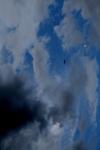 <img100*0:stuff/z/73640/sky%2520reference.4/i1265225322_10.jpg>