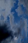 <img100*0:stuff/z/73640/sky%2520reference.4/i1265225322_6.jpg>