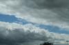 <img100*0:stuff/z/73640/sky%2520reference.4/i1265226942_3.jpg>
