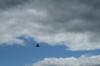 <img100*0:stuff/z/73640/sky%2520reference.4/i1265226944_15.jpg>