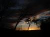 <img100*0:stuff/z/73640/sky%2520reference.5/i1266398988_7.jpg>