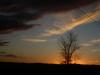 <img100*0:stuff/z/73640/sky%2520reference.5/i1266398989_16.jpg>