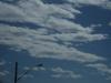 <img100*0:stuff/z/73640/sky%2520reference.5/i1266398990_21.jpg>