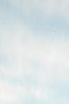 <img100*0:stuff/z/73640/sky%2520reference.5/i1267242898_6.jpg>