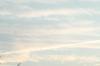 <img100*0:stuff/z/73640/sky%2520reference.5/i1267242898_7.jpg>
