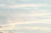 <img100*0:stuff/z/73640/sky%2520reference.5/i1267242899_10.jpg>