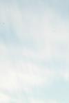 <img100*0:stuff/z/73640/sky%2520reference.5/i1267242899_11.jpg>