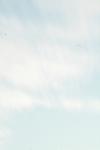 <img100*0:stuff/z/73640/sky%2520reference.5/i1267242901_17.jpg>