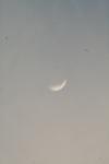 <img100*0:stuff/z/73640/sky%2520reference.5/i1267288543_1.jpg>