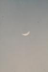 <img100*0:stuff/z/73640/sky%2520reference.5/i1267288545_2.jpg>