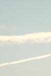 <img100*0:stuff/z/73640/sky%2520reference.5/i1267288546_3.jpg>