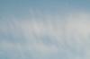 <img100*0:stuff/z/73640/sky%2520reference.5/i1267288548_10.jpg>