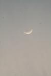 <img100*0:stuff/z/73640/sky%2520reference.5/i1267288548_8.jpg>