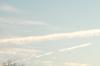 <img100*0:stuff/z/73640/sky%2520reference.5/i1267288548_9.jpg>